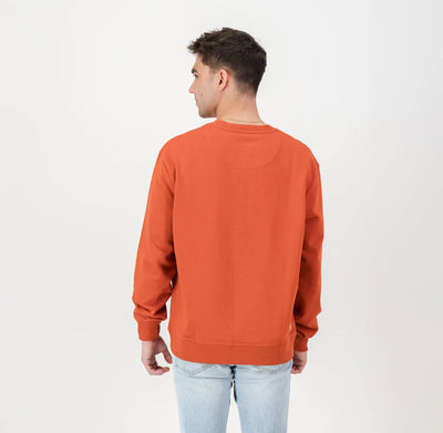 Springboks Word Crew Sweat-Rooibos